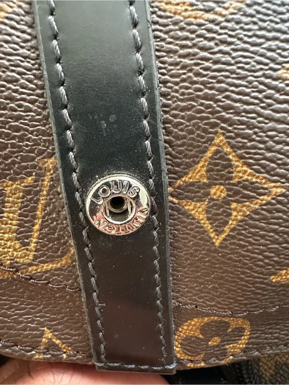 Louis Vuitton Christopher PM Monogram Macassar Backpack (2016)